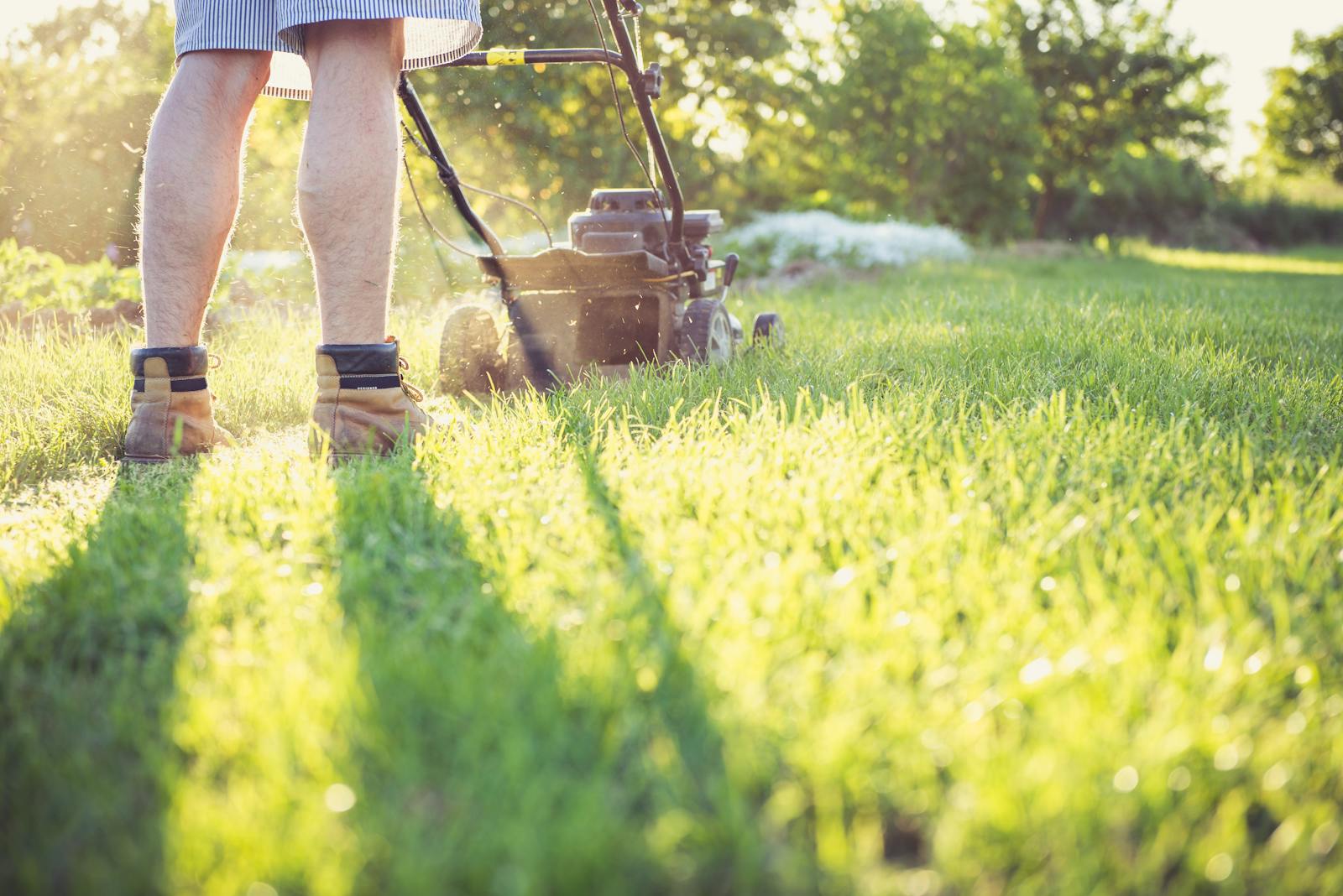 10 Bad Habits That Wreck Lawns Quickly
