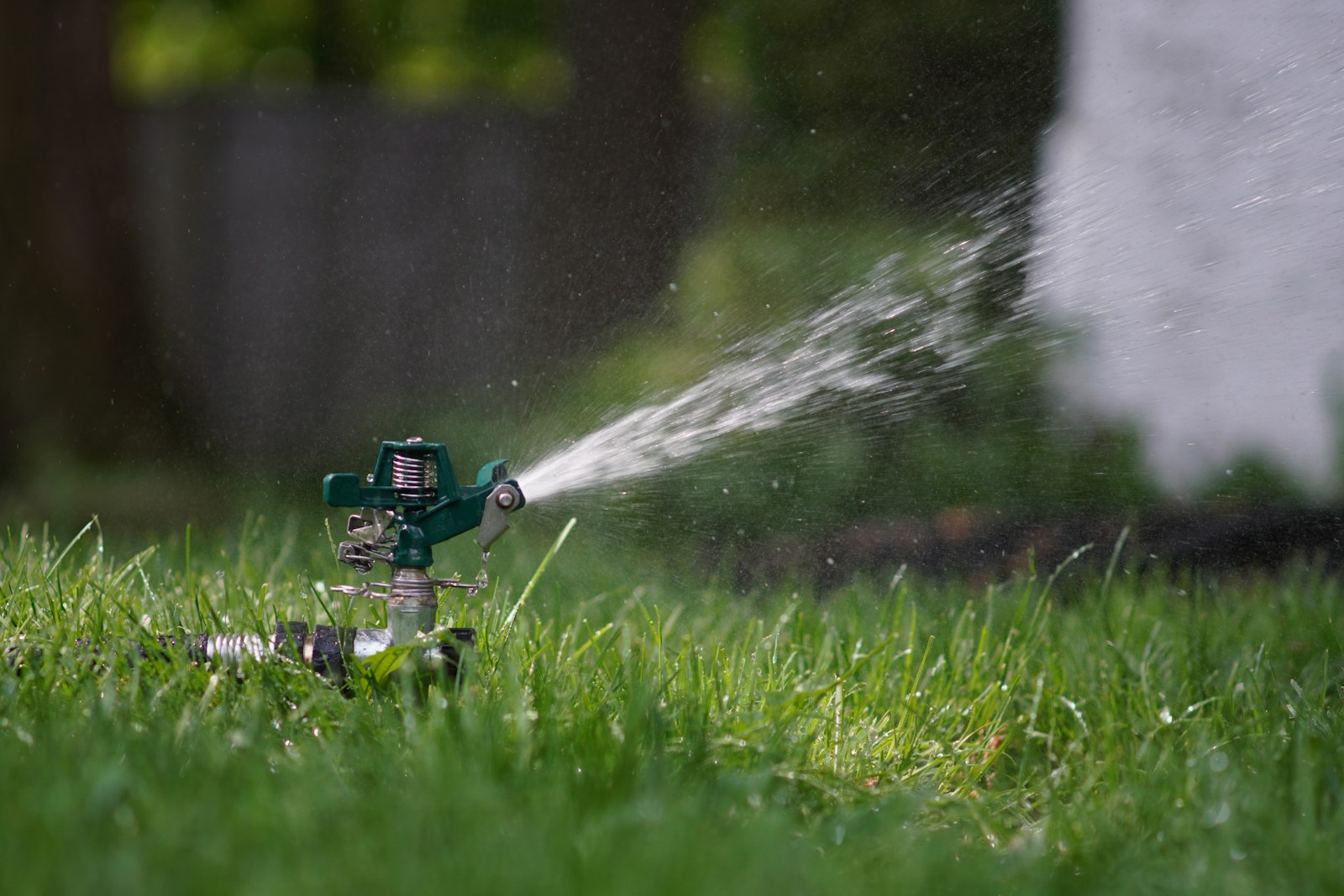 10 Yard Care Mistakes Men Make Every Summer